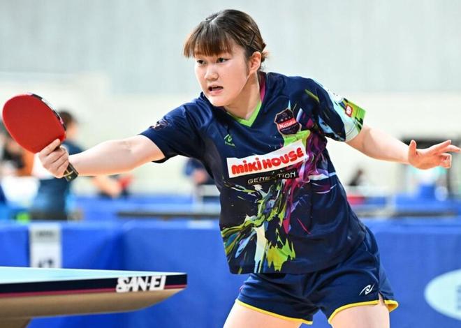 新鹏城之后 新鹏城之后